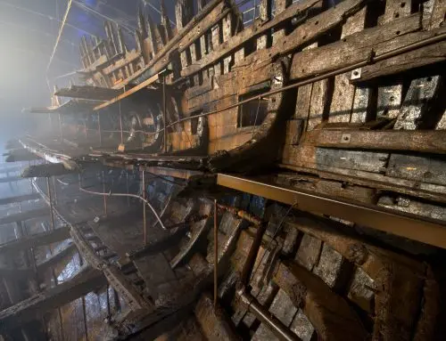 Mary Rose